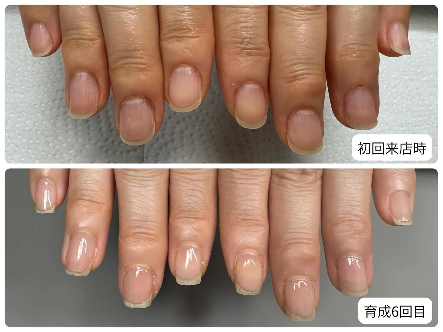 横幅も細くなってきてます😆！